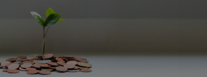 Digital Lenders